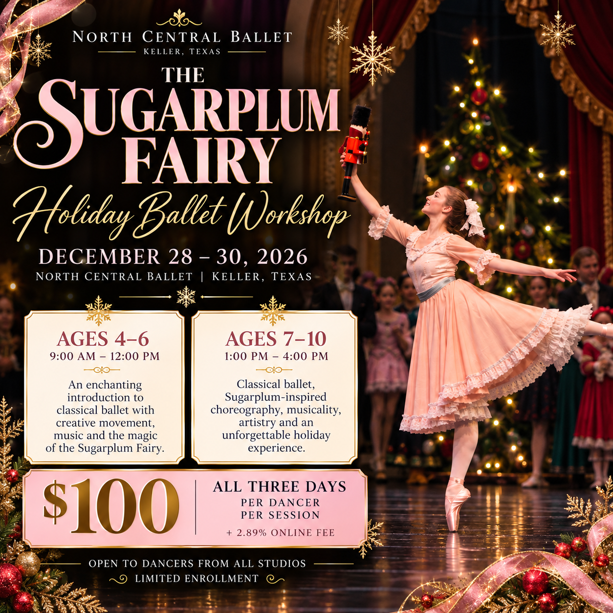 Sugarplum Fairy Holiday Ballet Workshop